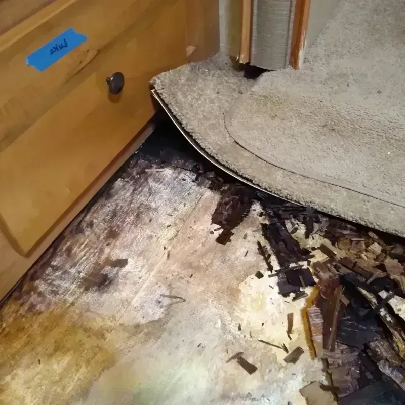 Best Wood Floor Water Damage Service in Clayton, NM